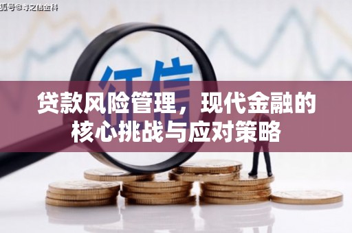 长阳贷款风险管理，现代金融的核心挑战与应对策略
