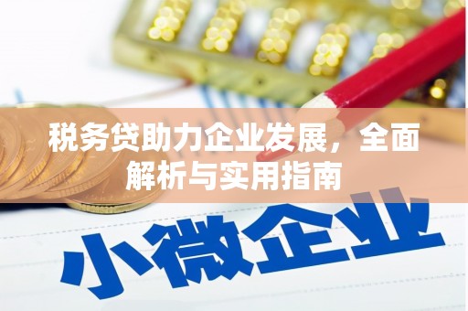 武功税务贷助力企业发展，全面解析与实用指南