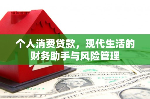 廉江个人消费贷款，现代生活的财务助手与风险管理