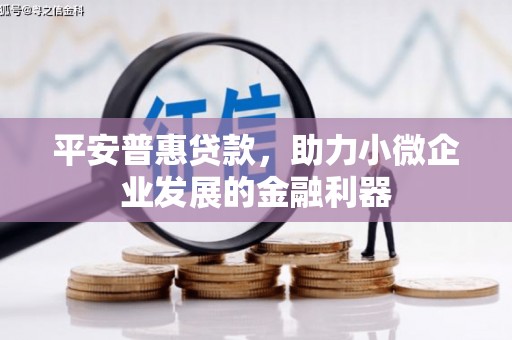 东凤平安普惠贷款，助力小微企业发展的金融利器