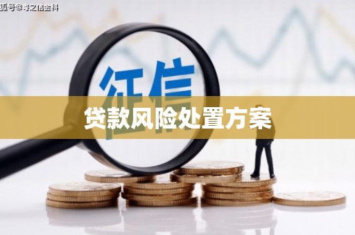 乌拉特后旗贷款风险处置方案