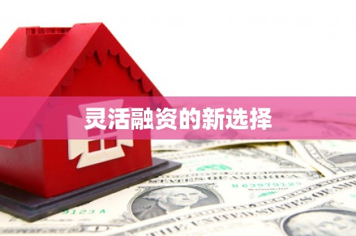 全南灵活融资的新选择