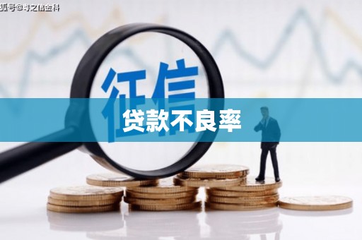从江贷款不良率