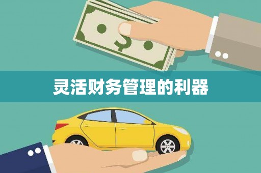 吉木乃灵活财务管理的利器