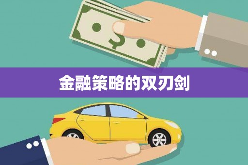 云龙金融策略的双刃剑