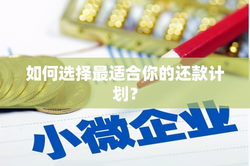 洛扎如何选择最适合你的还款计划？