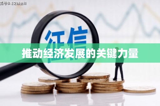 洛扎推动经济发展的关键力量