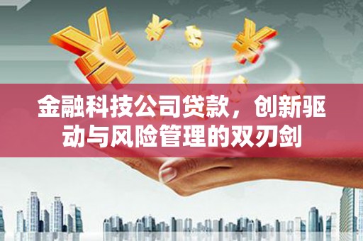 闵行金融科技公司贷款，创新驱动与风险管理的双刃剑